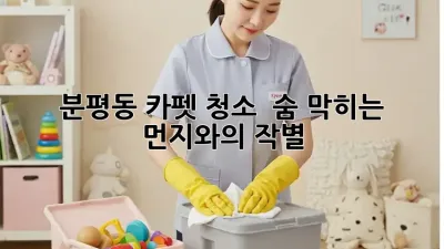 분평동 카펫 청소 ✨ 숨 막히는 먼지와의 작별! 💨